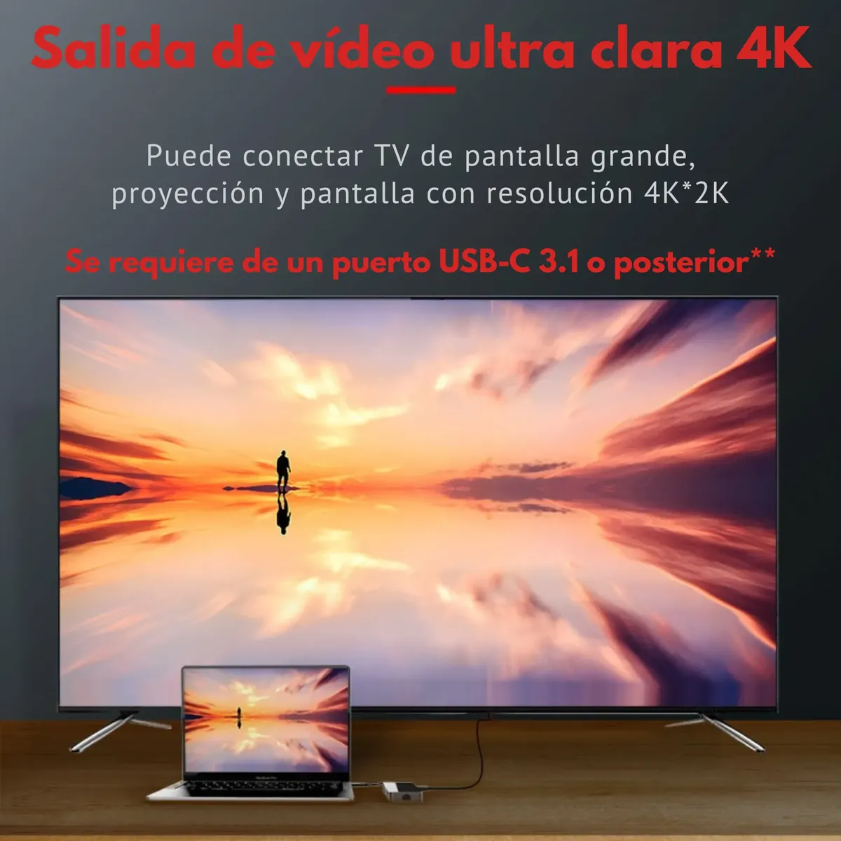 HUB 10 en 1 USB-C Metálico